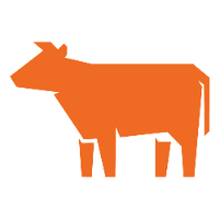 Cowlar Design Studio